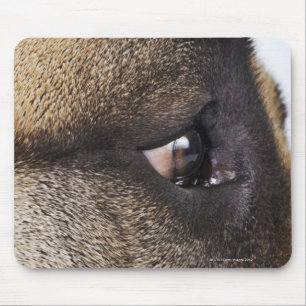 Eye of Great Dane Mouse Pad