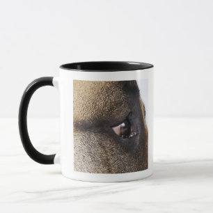Eye of Great Dane Mug