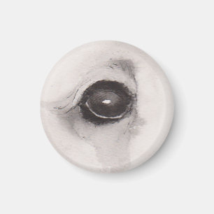 Eye of the Bear – Gaze Collection Magnet