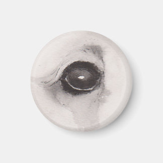 Eye of the Bear – Gaze Collection Magnet
