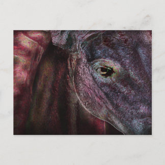 Eye of the Beholder - Post Card