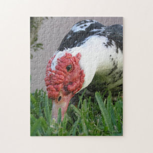 Eye of The Duck Close-Up Photograph Jigsaw Puzzle