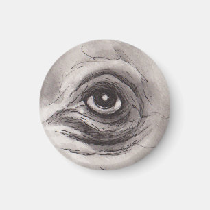 Eye of the Hippo – Gaze Collection Magnet