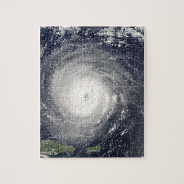 Eye of the Hurricane Jigsaw Puzzle (Vertical)