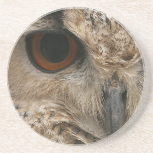 Eye of the Owl Coaster
