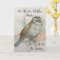 Eye Of The Sparrow Loss Of Mother Sympathy