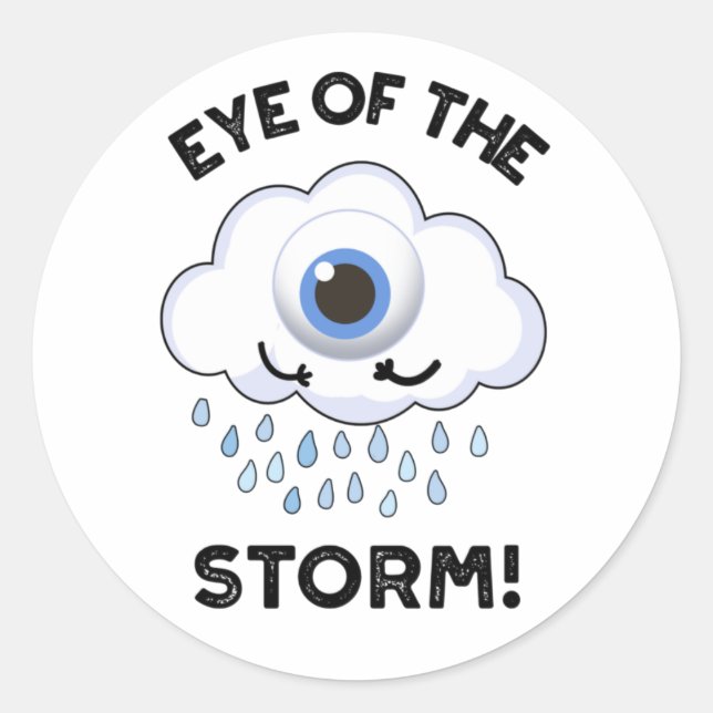 Eye Of The Storm Funny Weather Pun  Classic Round Sticker (Front)