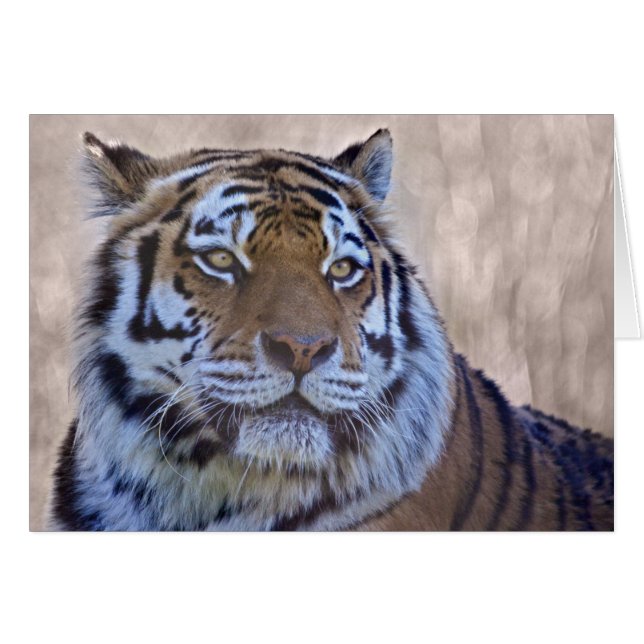 Eye of the Tiger Card (Front Horizontal)