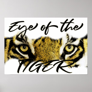 Eye of the tiger, tiger, motivational, inspiration poster