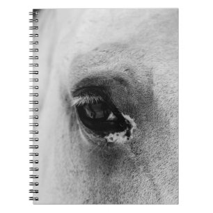 EYE OF THE WHITE HORSE NOTEBOOK