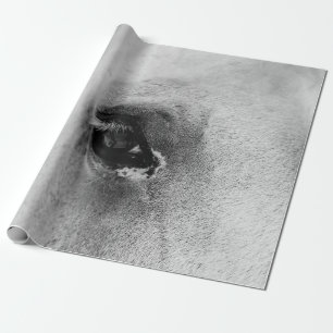 EYE OF THE WHITE HORSE WRAPPING PAPER