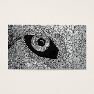 eye of wolf