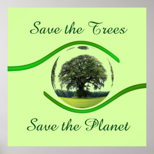 Eye on Ecology Poster