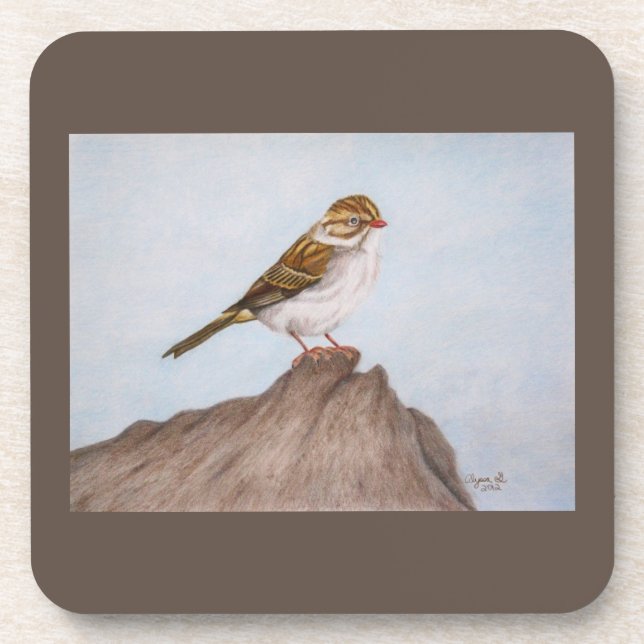 Eye on the Sparrow Coaster (Front)