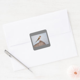 Eye on the Sparrow Sticker