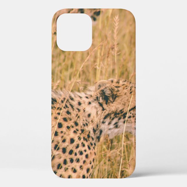 EYE ON THE TARGET - LEOPARD ANIMALS PHOTO Case-Mate iPhone CASE (Back)