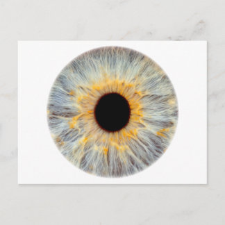 Eye Postcard