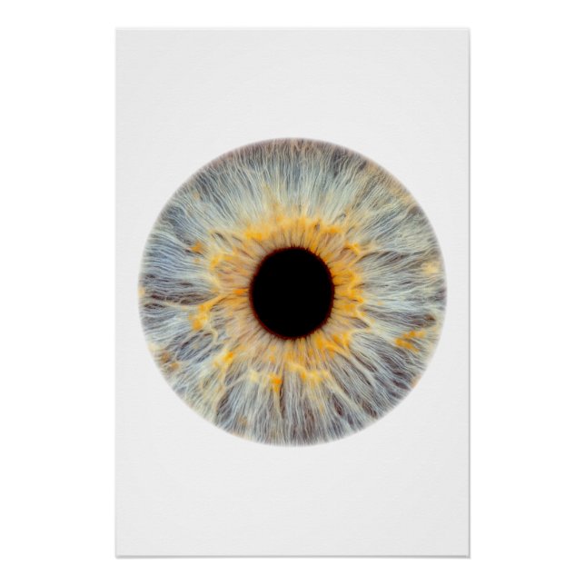 Eye Poster (Front)