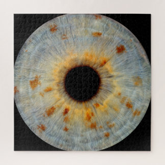 Eye Puzzle