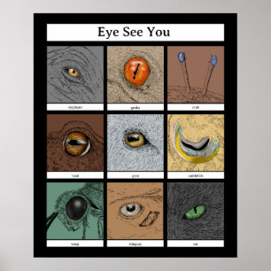 Eye See You Animal Pun, animal eyes Poster
