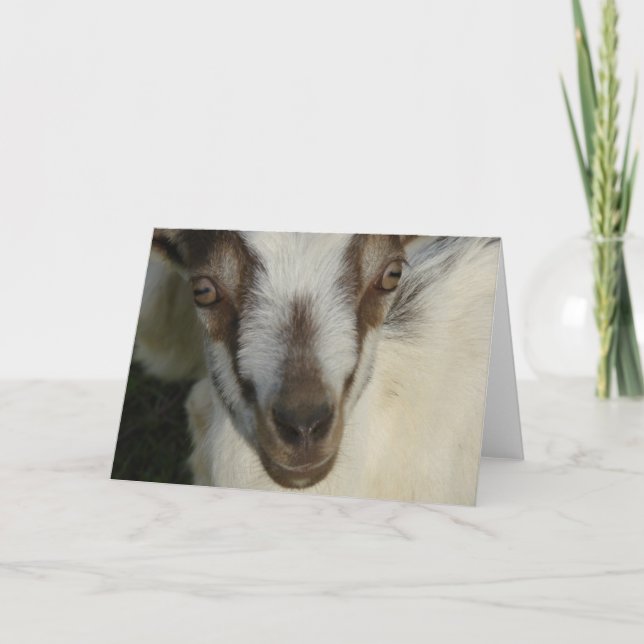 Eye See You Card (Front)