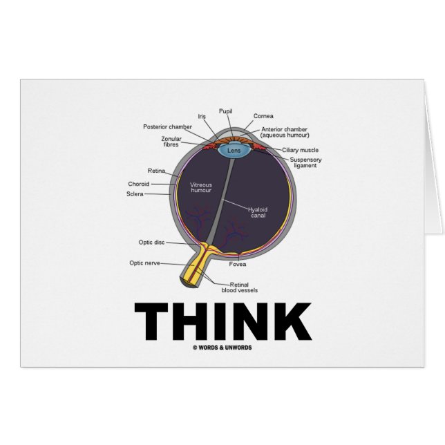 (Eye) Think (Anatomical Humour) (Front Horizontal)