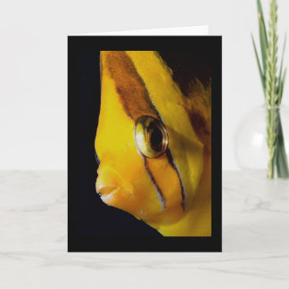Eye to Eye Card