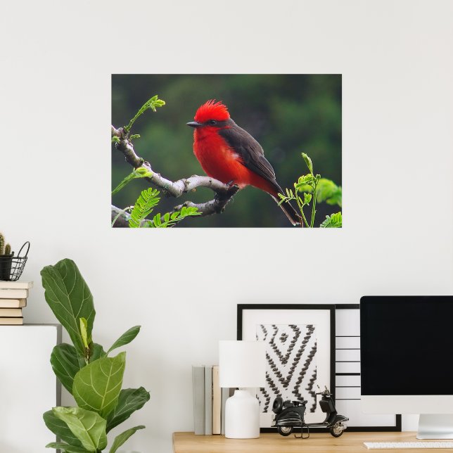 Eye to Eye Poster (Home Office)