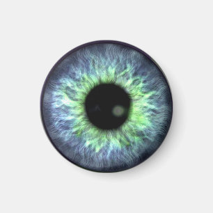 Eyeball Blue Green Gift Pretty Magnet