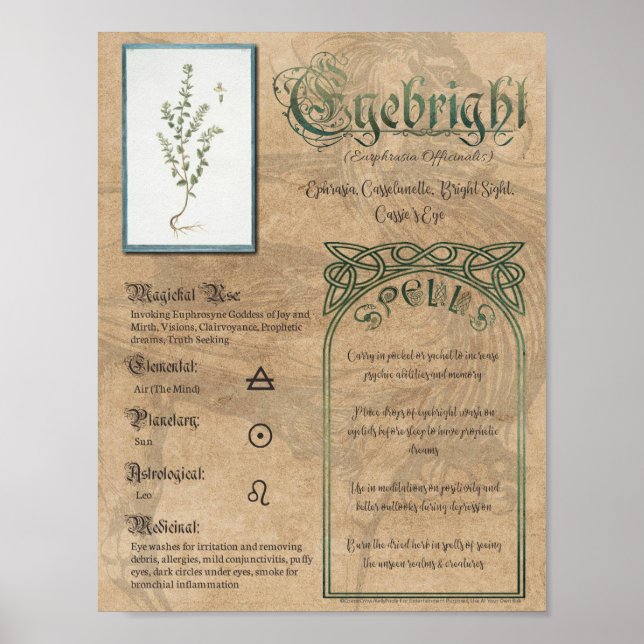 Eyebright Herbal Book of Shadows Pagan Wiccan Poster (Front)