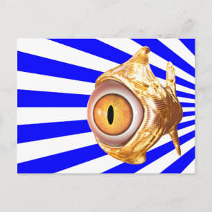 eyefish postcard