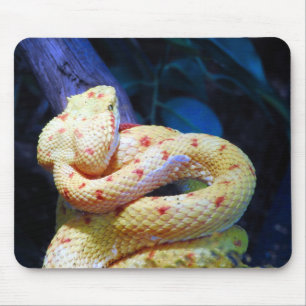 Eyelash Viper Mouse Pad