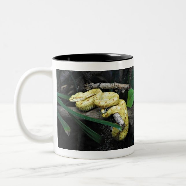 Eyelash Viper Two-Tone Coffee Mug (Left)