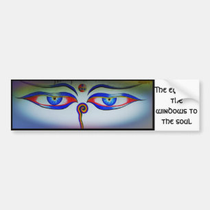 Eyes are the windows to the soul bumper sticker