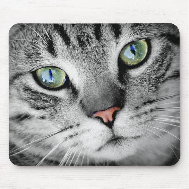 Eyes cat mouse pad (Front)