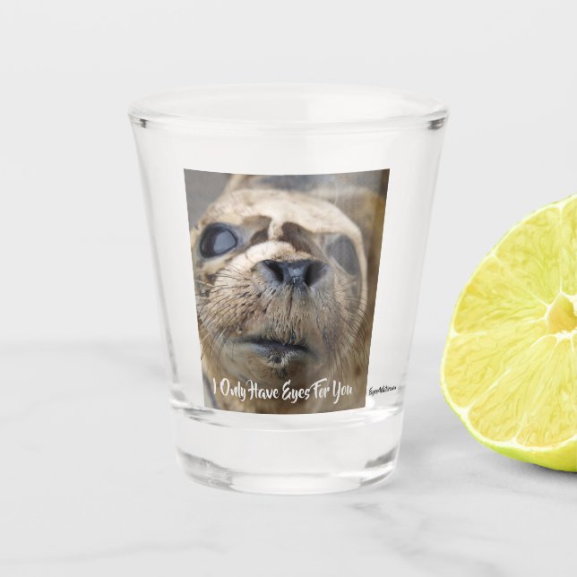 Eyes For You Harbour seal pup Shot Glass (Front)