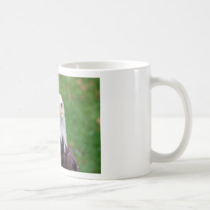 Eyes of a Bald Eagle Coffee Mug