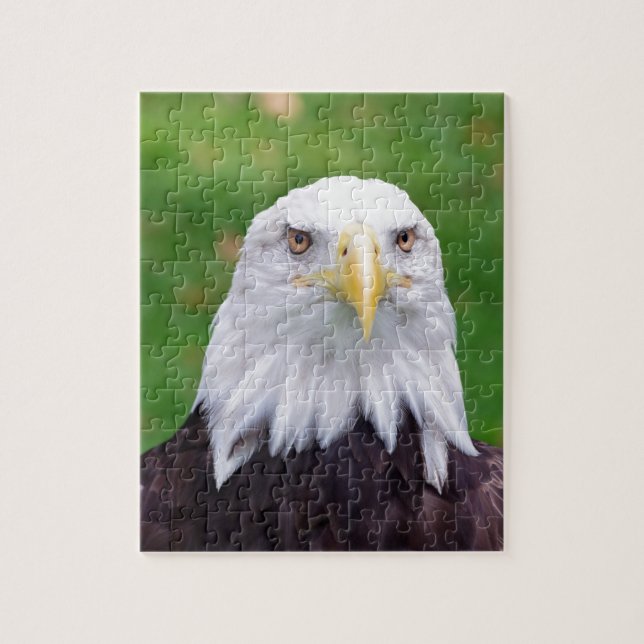 Eyes of a Bald Eagle Jigsaw Puzzle (Vertical)