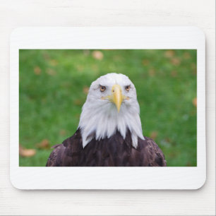 Eyes of a Bald Eagle Mouse Pad