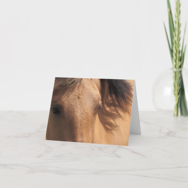 Eyes of a Brown Horse Note Card (Front)
