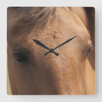 Eyes of a Brown Horse Square Wall Clock