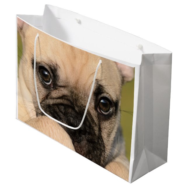 Eyes of a cute French Bulldog puppy Large Gift Bag (Front Angled)