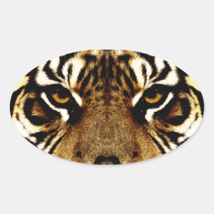 Eyes of a Tiger Oval Sticker