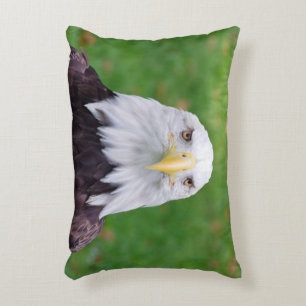 Eyes of an Eagle Decorative Cushion