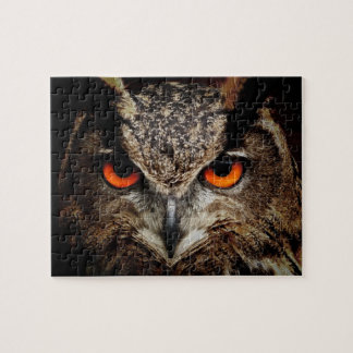 Eyes Of An Owl Jigsaw Puzzle