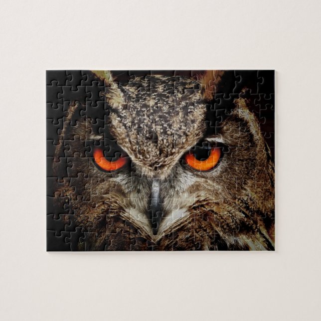 Eyes Of An Owl Jigsaw Puzzle (Horizontal)