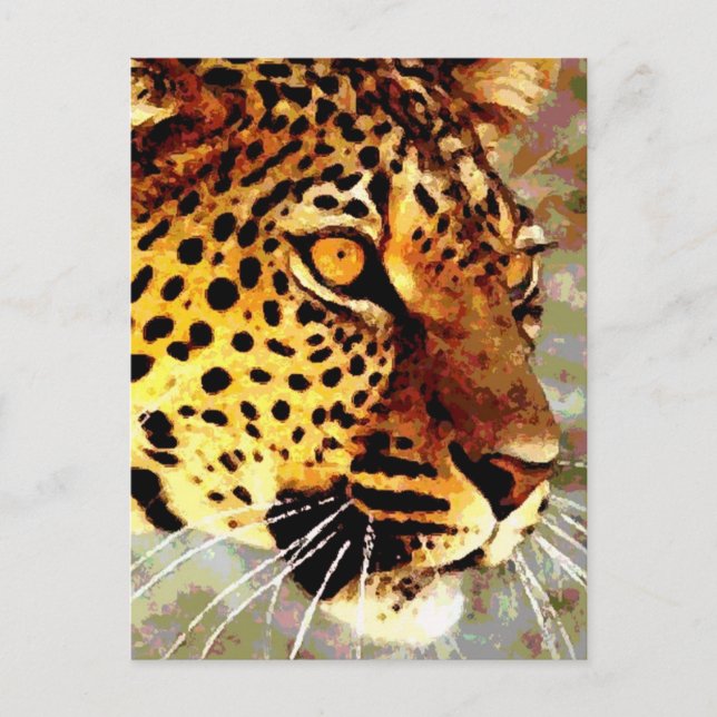 Eyes of Leopard Postcard (Front)