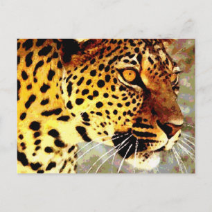 Eyes of Leopard Postcard