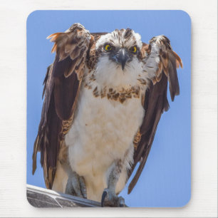 Eyes of the Osprey Mouse Pad