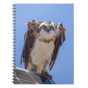 Eyes of the Osprey Notebook